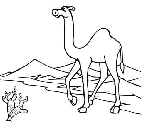 Camel On The Go Through Desert Coloring Page